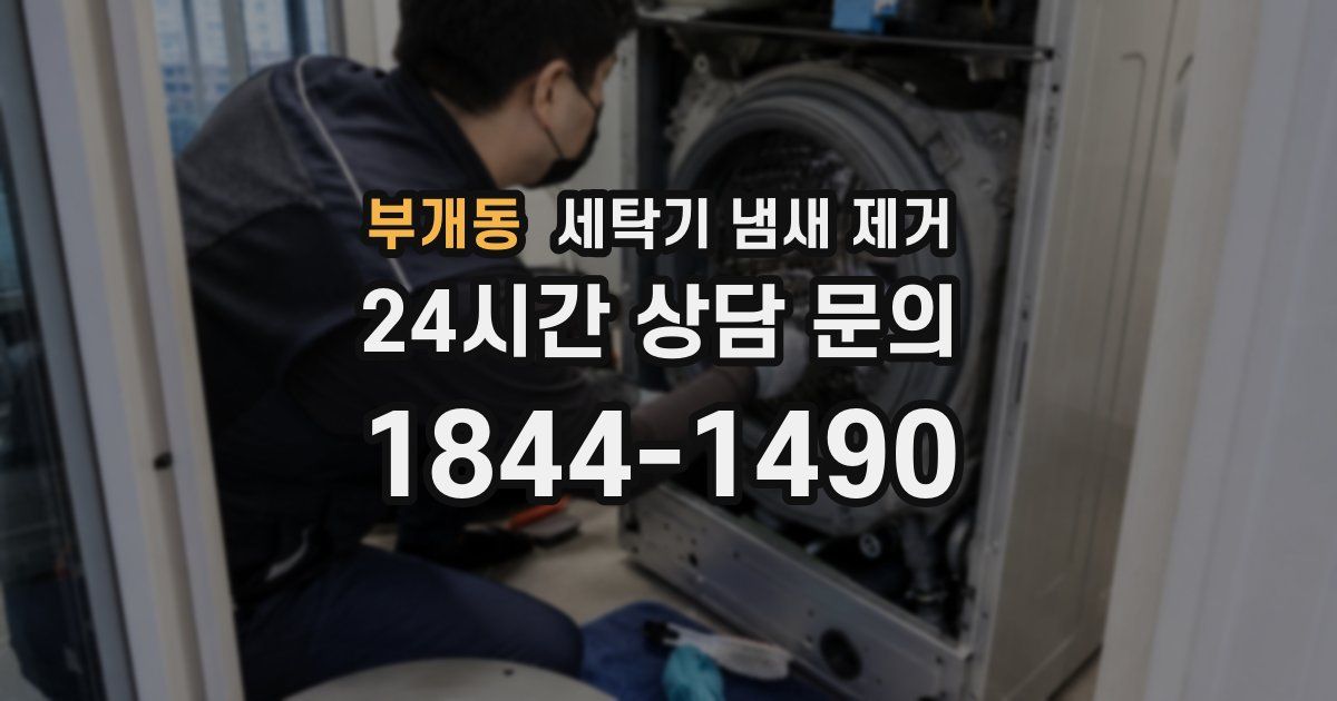 부개동 세탁기 냄새 제거