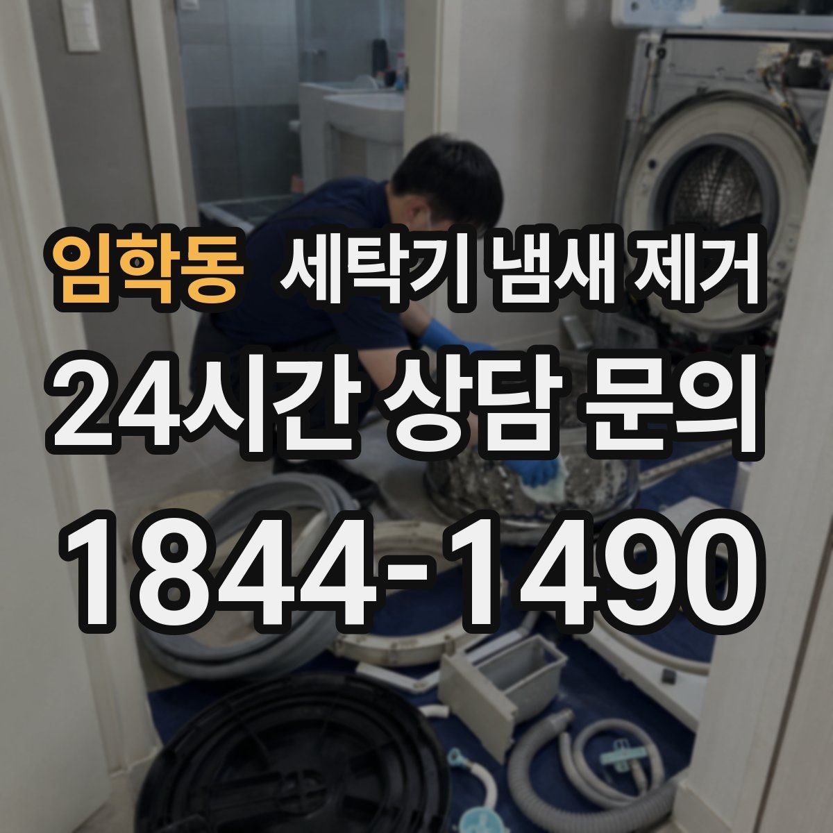 임학동 세탁기 냄새 제거