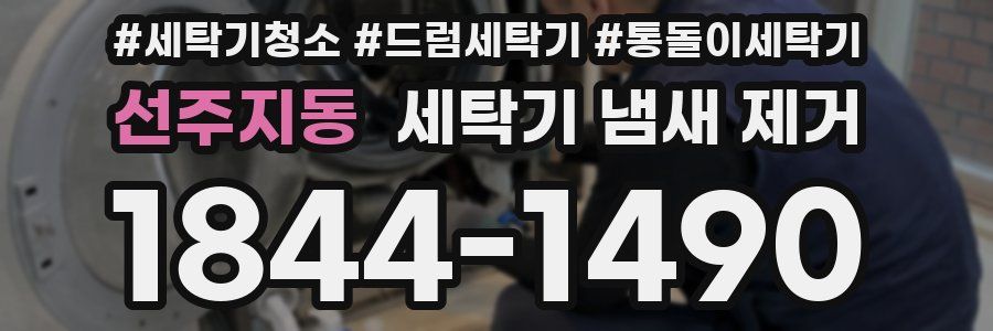 선주지동 세탁기 냄새 제거