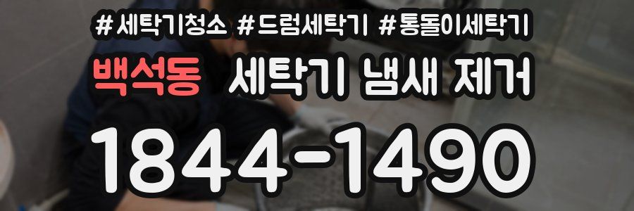 백석동 세탁기 냄새 제거