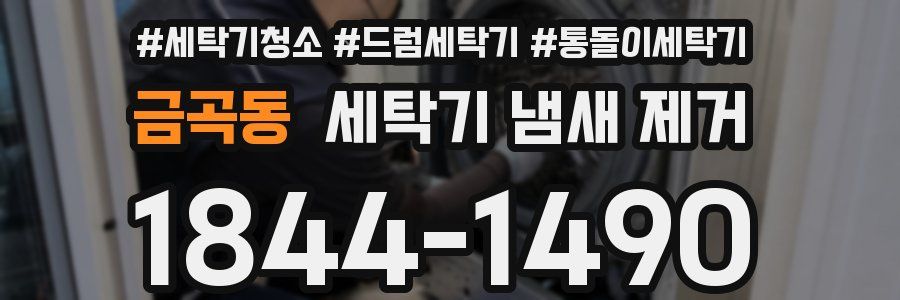 금곡동 세탁기 냄새 제거