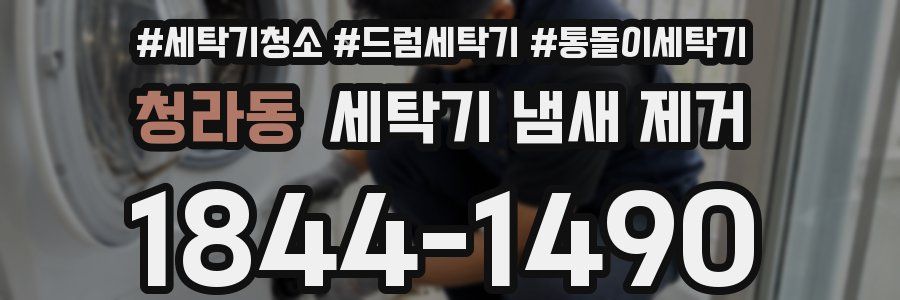 청라동 세탁기 냄새 제거