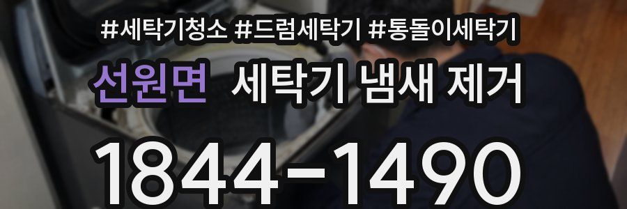 선원면 세탁기 냄새 제거