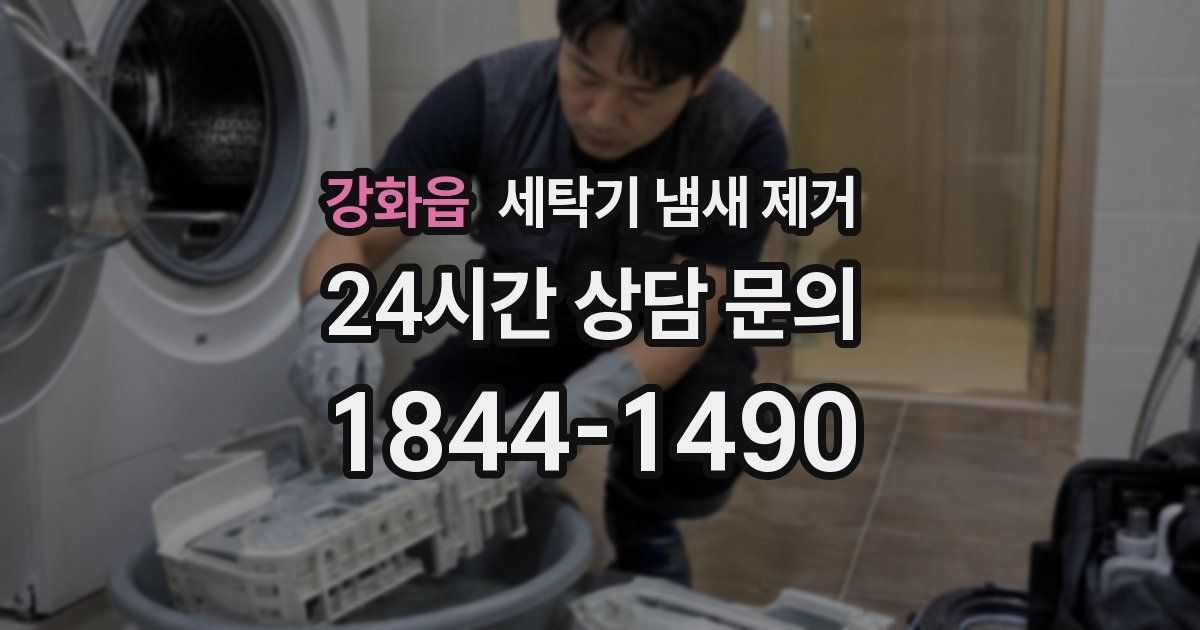 강화읍 세탁기 냄새 제거