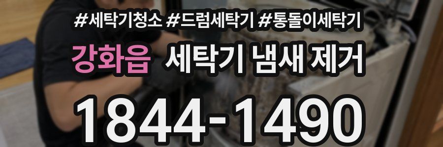 강화읍 세탁기 냄새 제거