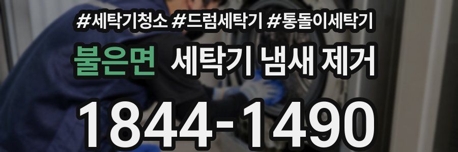 불은면 세탁기 냄새 제거