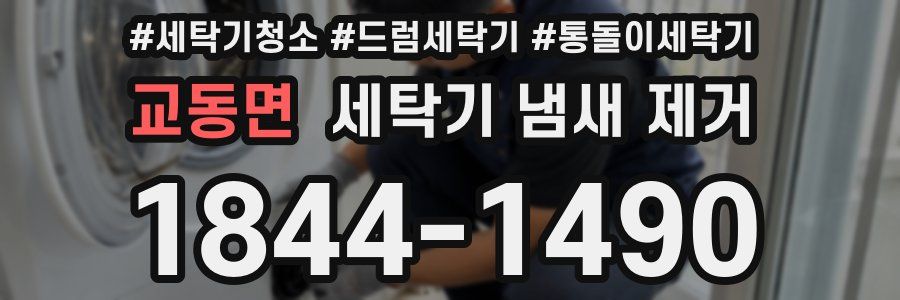 교동면 세탁기 냄새 제거