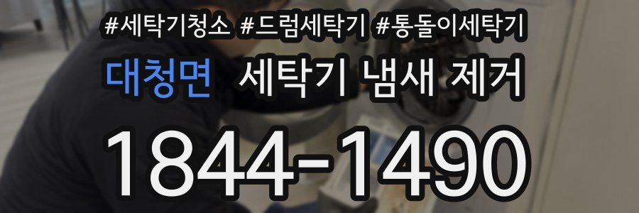 대청면 세탁기 냄새 제거