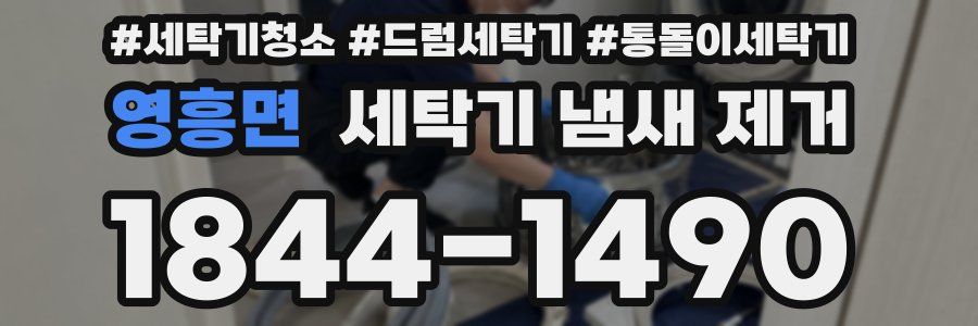 영흥면 세탁기 냄새 제거
