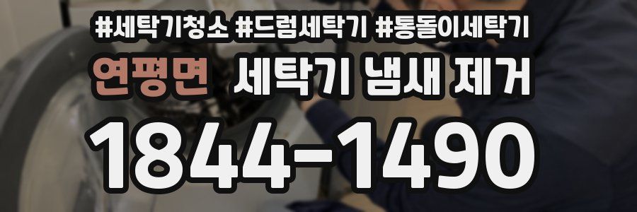 연평면 세탁기 냄새 제거