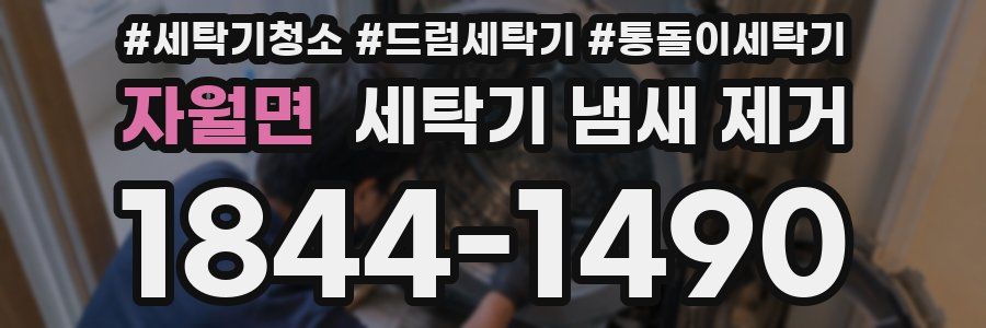 자월면 세탁기 냄새 제거