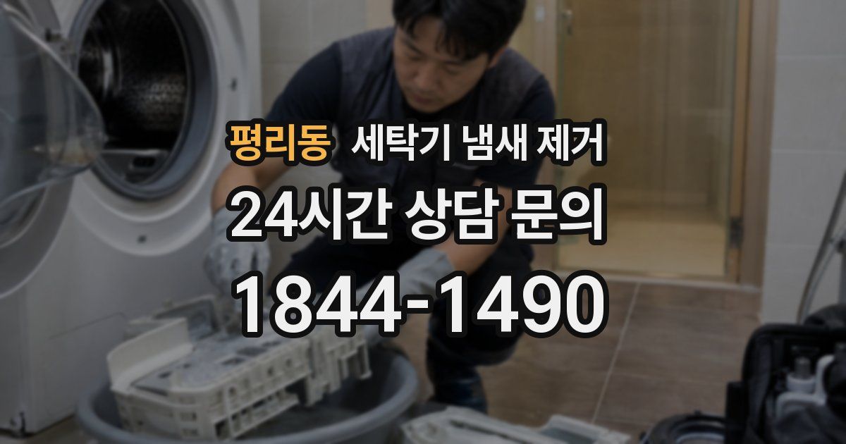 평리동 세탁기 냄새 제거