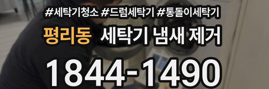 평리동 세탁기 냄새 제거