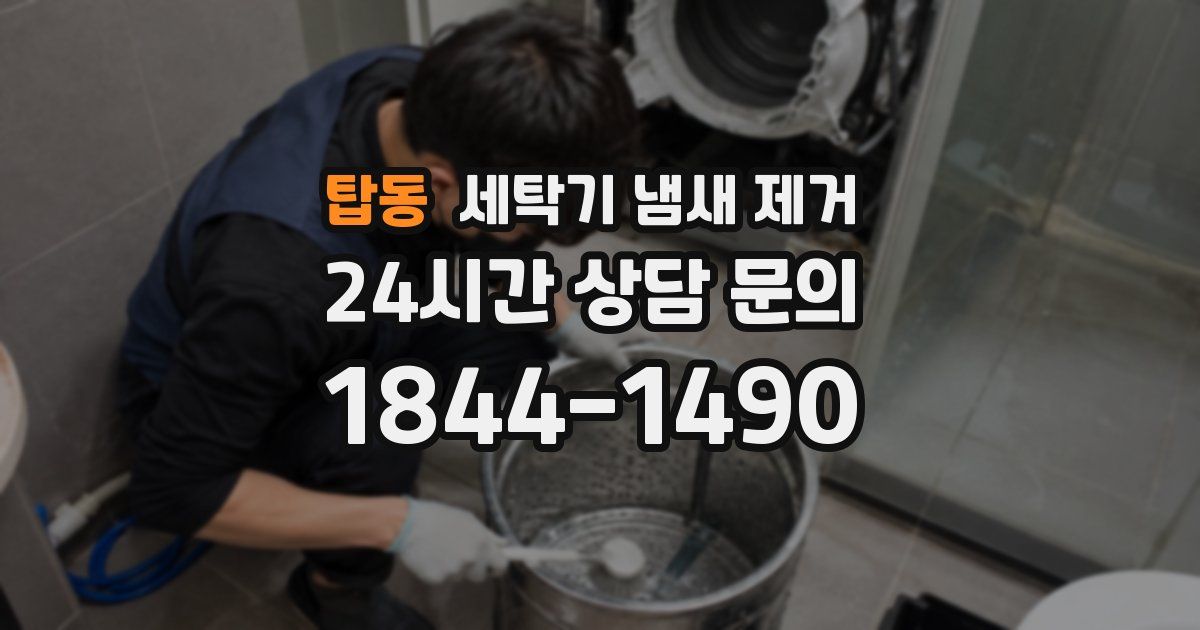 탑동 세탁기 냄새 제거