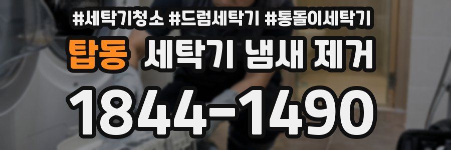 탑동 세탁기 냄새 제거