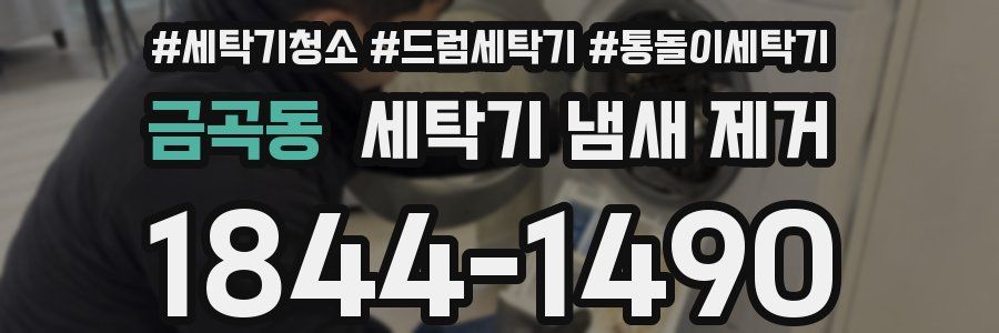 금곡동 세탁기 냄새 제거
