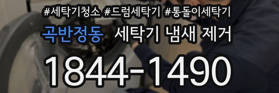 곡반정동 세탁기 냄새 제거