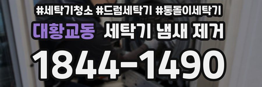 대황교동 세탁기 냄새 제거