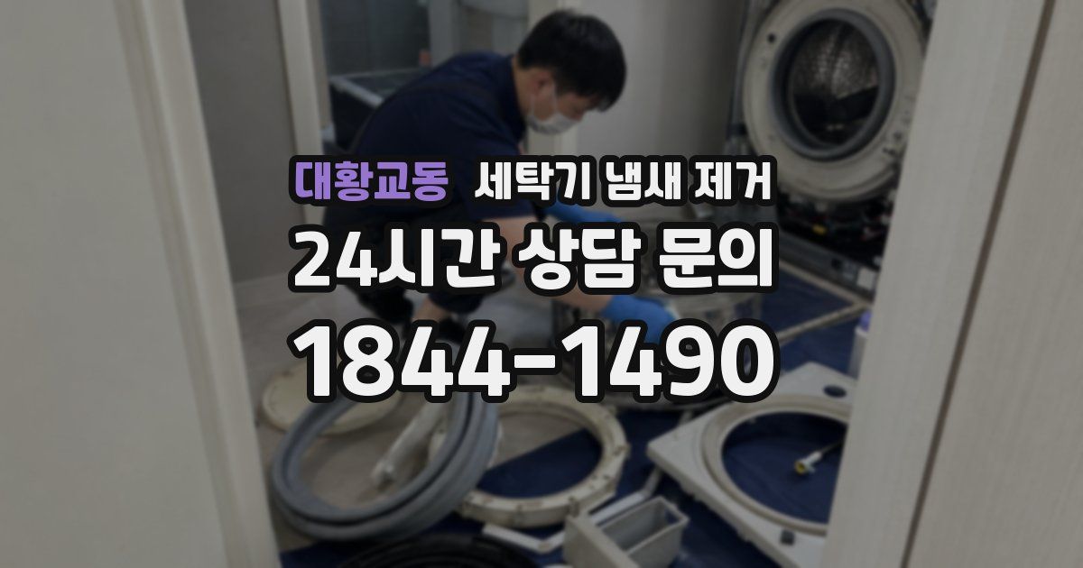 대황교동 세탁기 냄새 제거