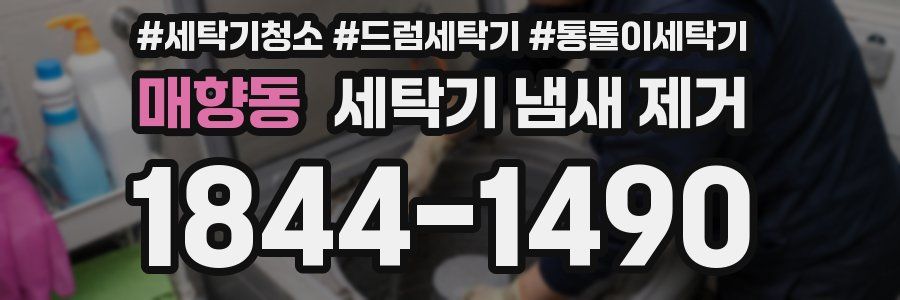 매향동 세탁기 냄새 제거