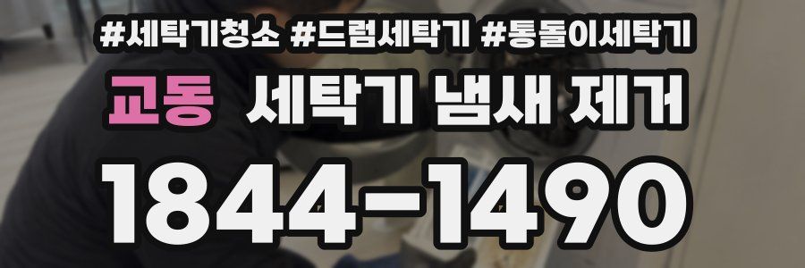 교동 세탁기 냄새 제거