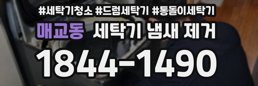 매교동 세탁기 냄새 제거