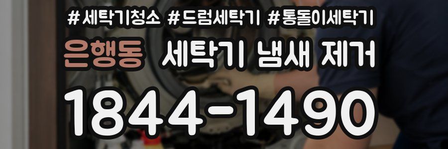 은행동 세탁기 냄새 제거