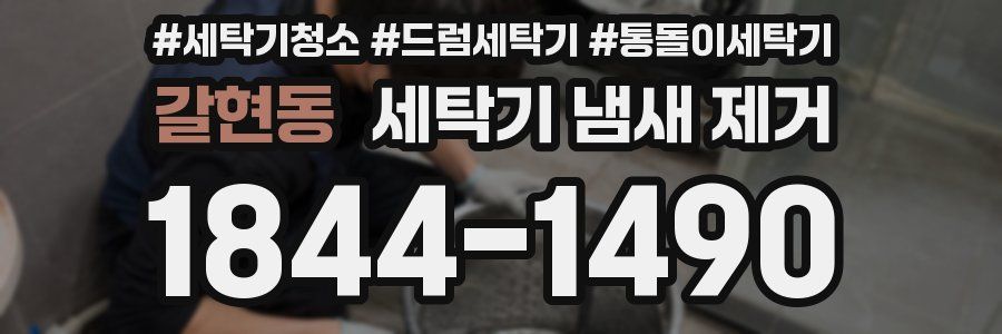 갈현동 세탁기 냄새 제거