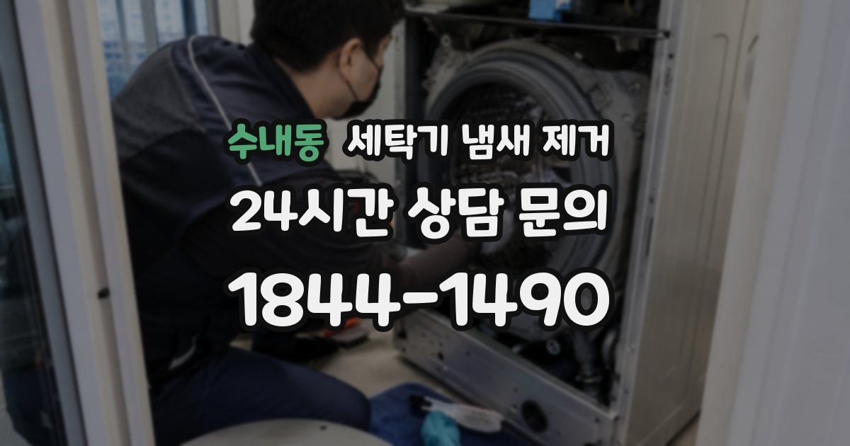 수내동 세탁기 냄새 제거