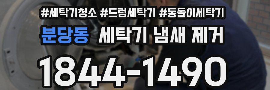 분당동 세탁기 냄새 제거