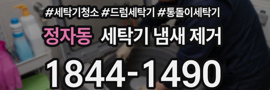 정자동 세탁기 냄새 제거
