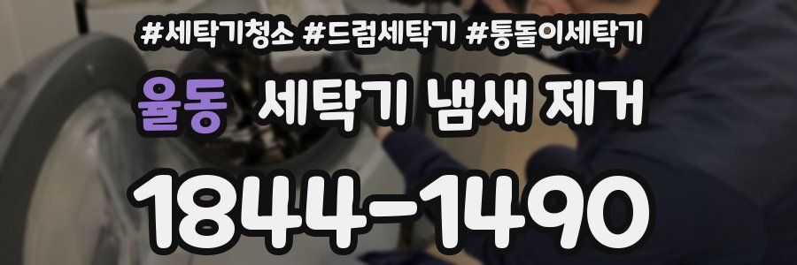율동 세탁기 냄새 제거