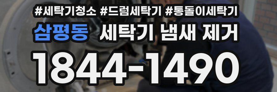 삼평동 세탁기 냄새 제거