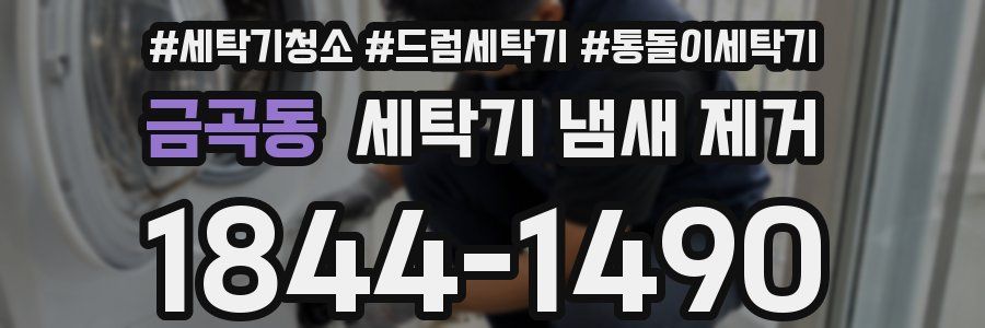 금곡동 세탁기 냄새 제거