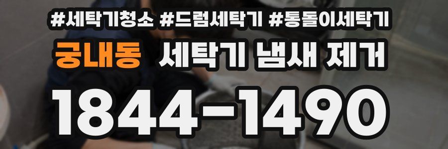 궁내동 세탁기 냄새 제거