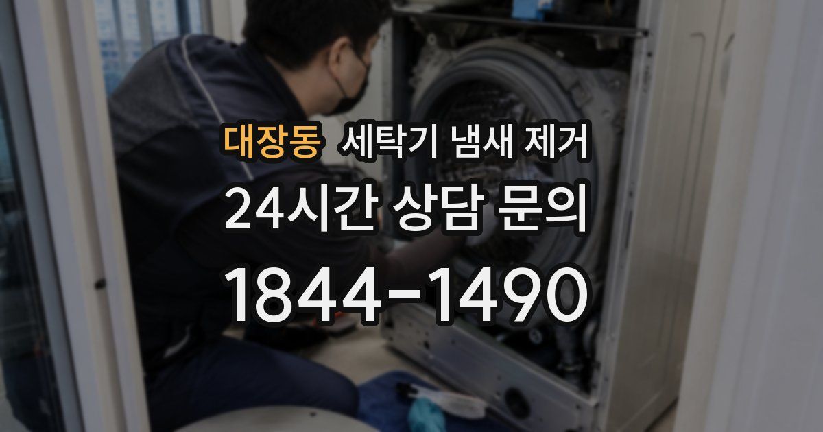 대장동 세탁기 냄새 제거