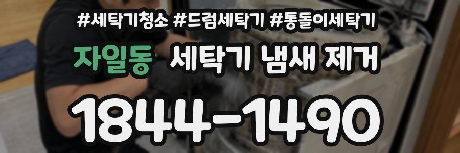 자일동 세탁기 냄새 제거