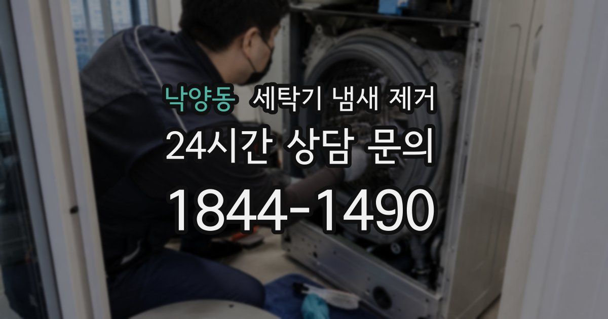 낙양동 세탁기 냄새 제거