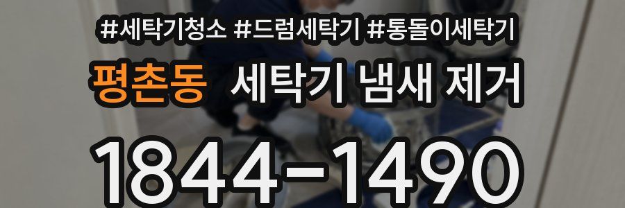 평촌동 세탁기 냄새 제거