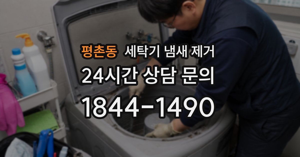 평촌동 세탁기 냄새 제거