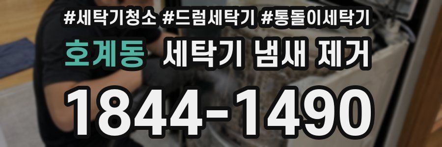 호계동 세탁기 냄새 제거