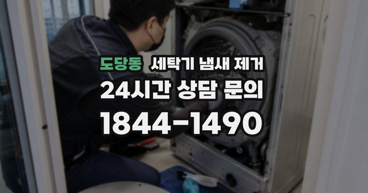 도당동 세탁기 냄새 제거