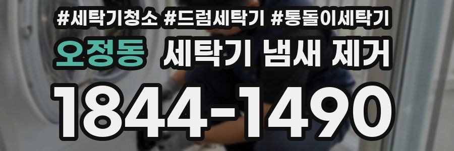 오정동 세탁기 냄새 제거