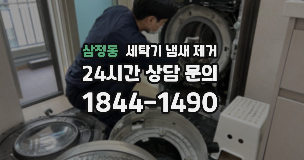 삼정동 세탁기 냄새 제거