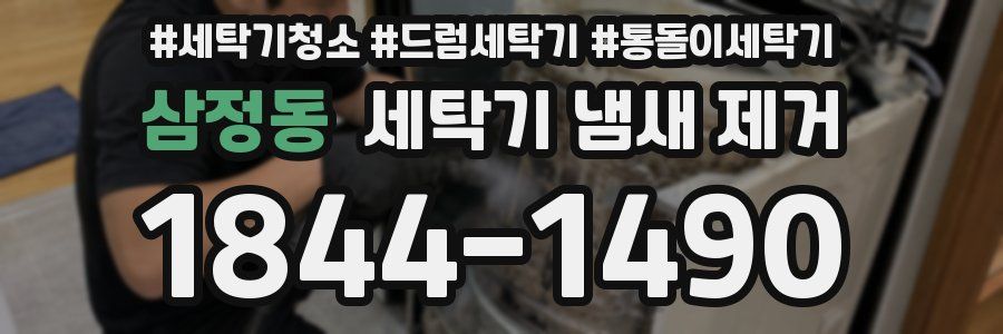 삼정동 세탁기 냄새 제거