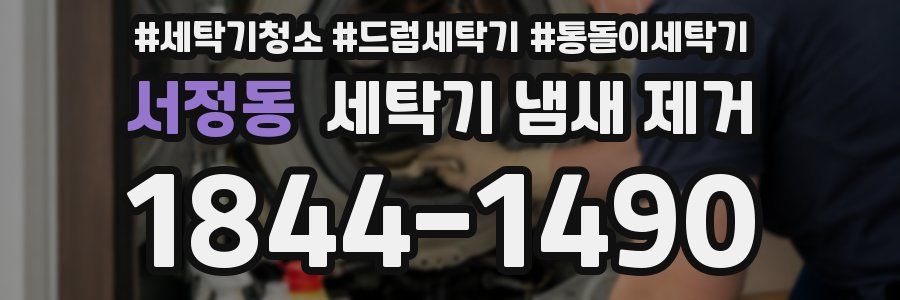 서정동 세탁기 냄새 제거