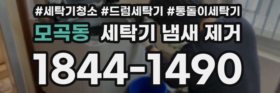 모곡동 세탁기 냄새 제거