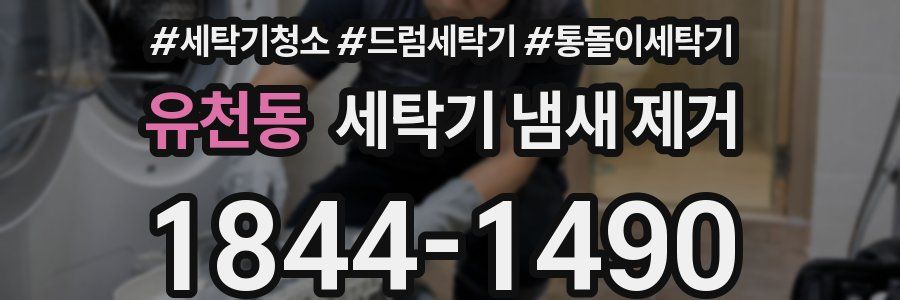 유천동 세탁기 냄새 제거
