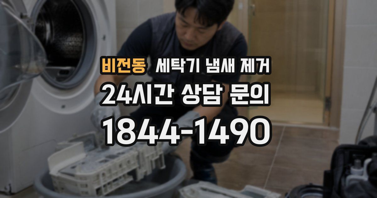 비전동 세탁기 냄새 제거