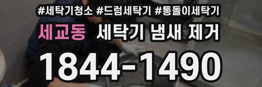 세교동 세탁기 냄새 제거
